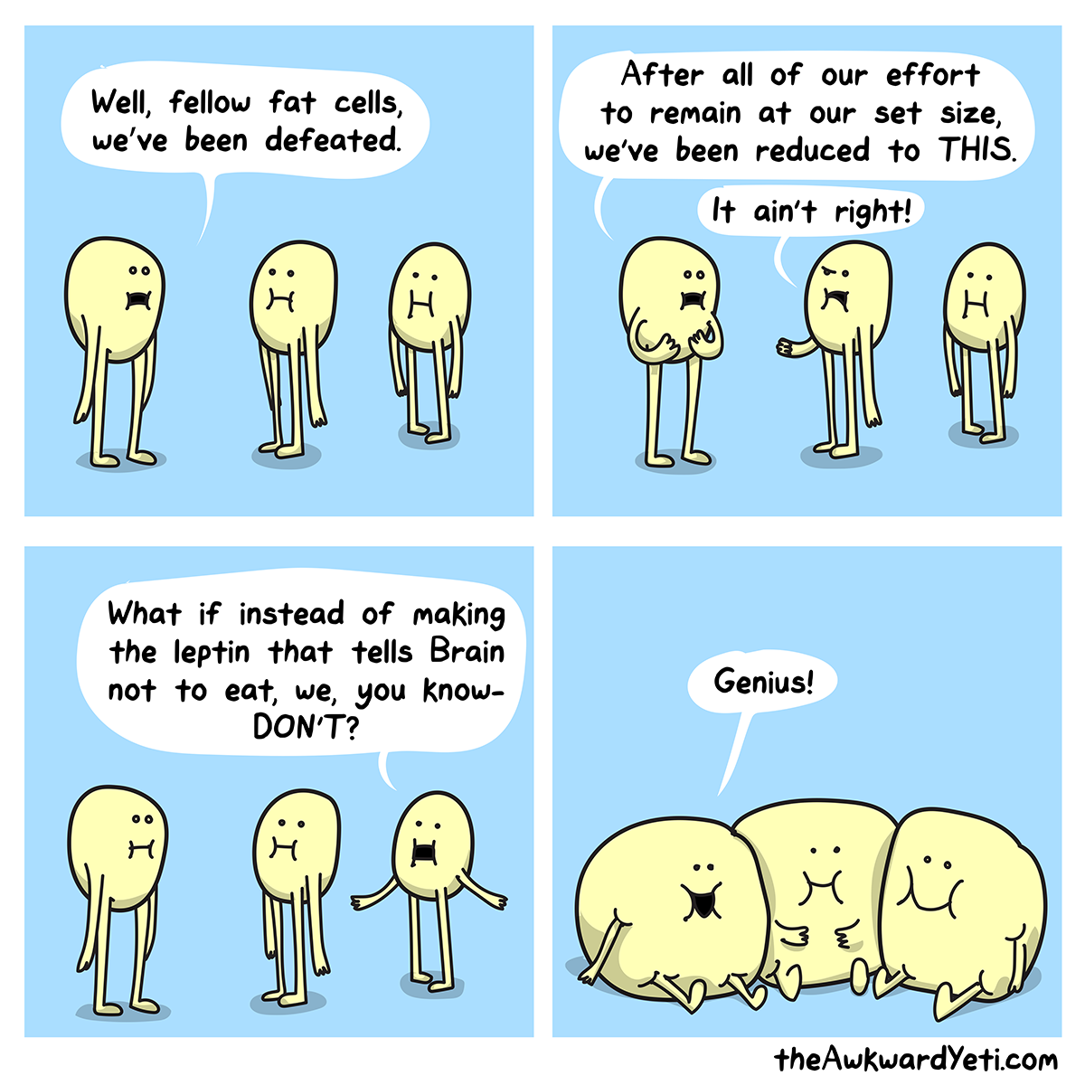 The Awkward Yeti | Fat Cells