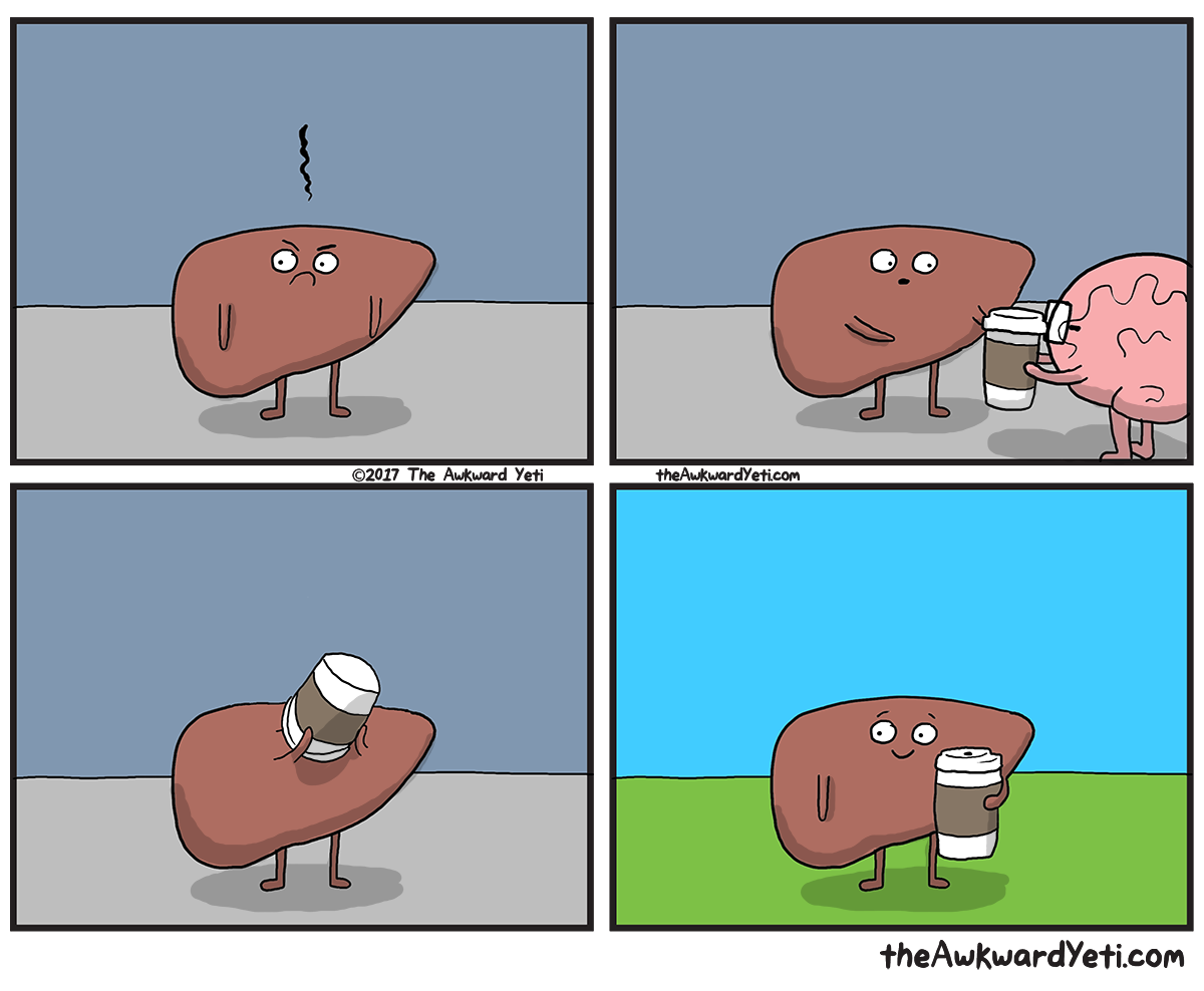 The Awkward Yeti | Liver's Pick Me Up