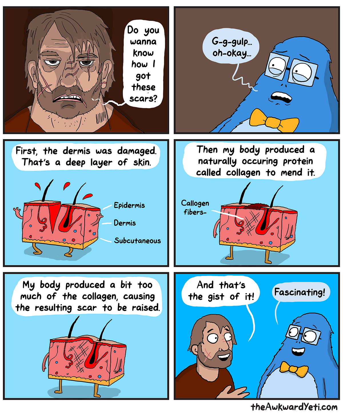 The Awkward Yeti | Scars